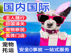 阜阳航空空运国际宠物托运 【国